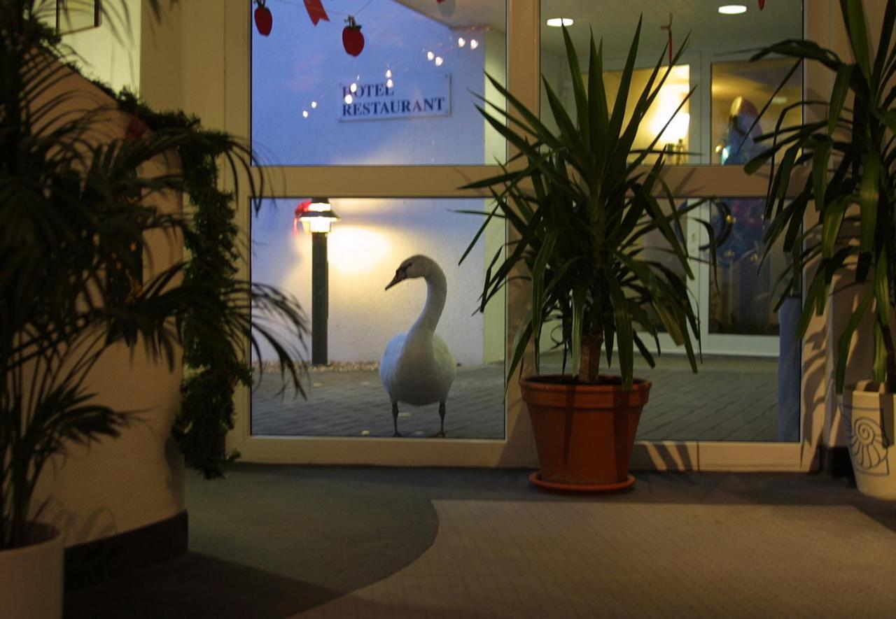 Seehotel Luisenhof Falkenhagen  Dış mekan fotoğraf